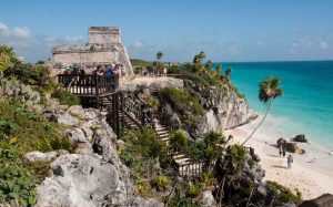 Increíble tour de observación de aves en Riviera Maya