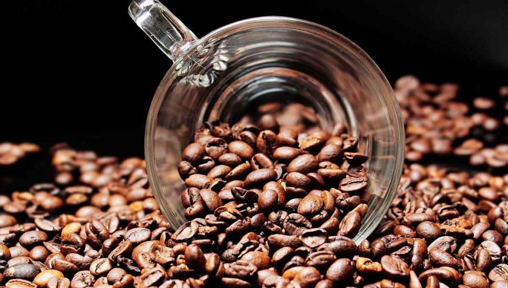 productores de café, granos