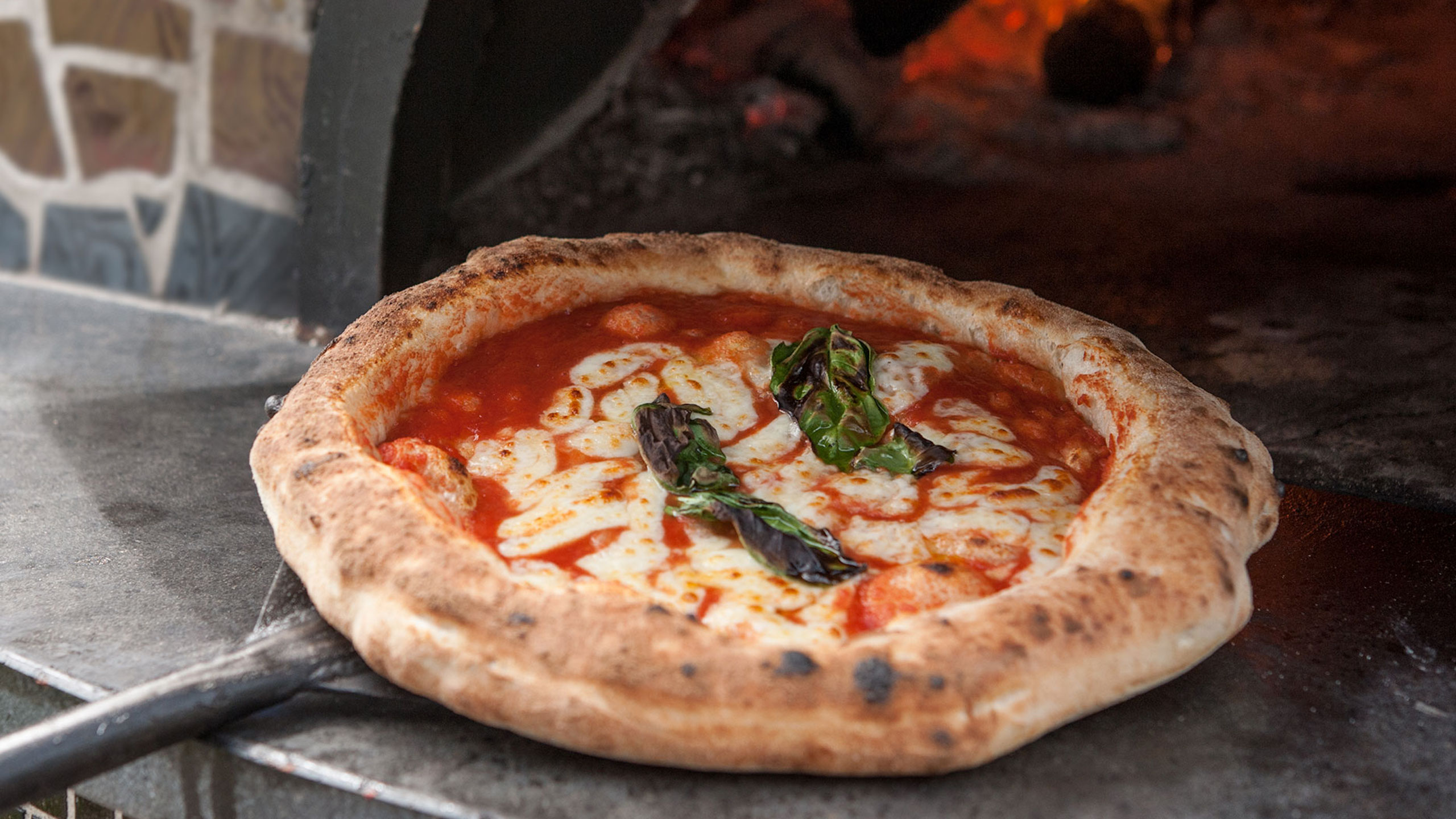Italian traditional pizza napolitana