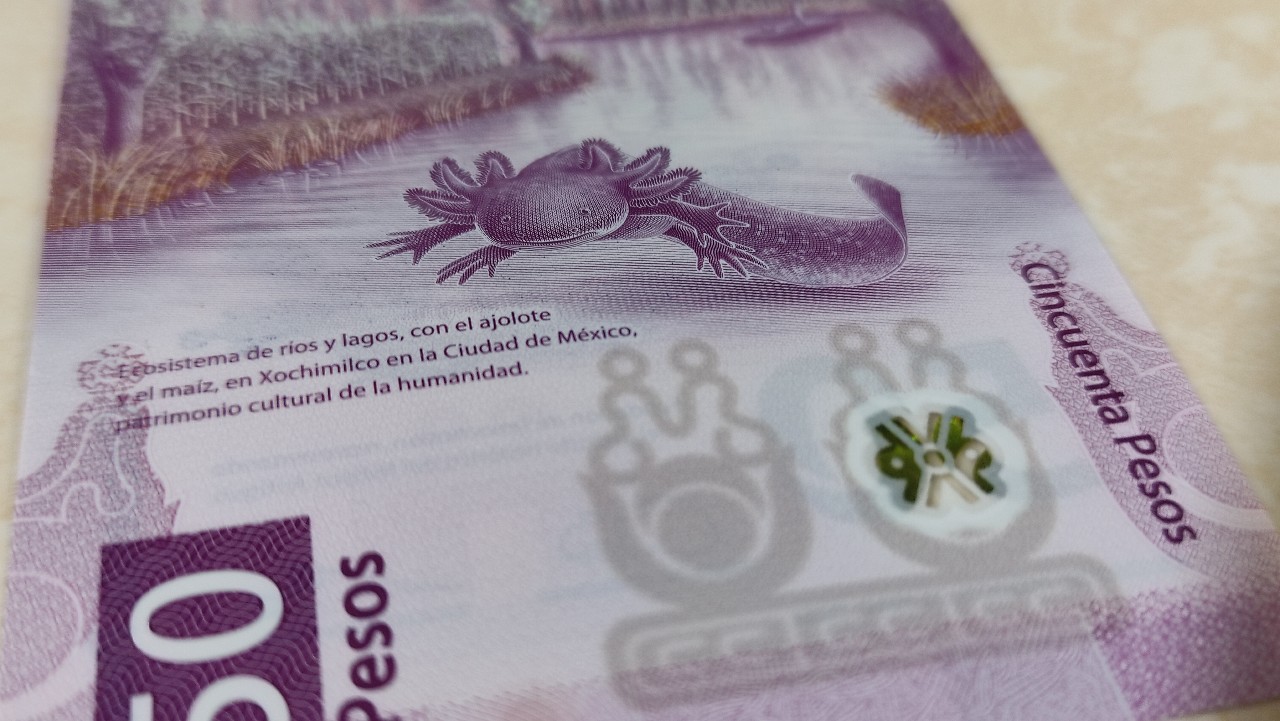 billete 50 pesos – José María Morelos