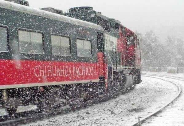 tren chepe